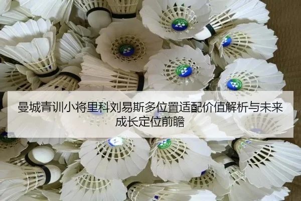 曼城青训小将里科刘易斯多位置适配价值解析与未来成长定位前瞻